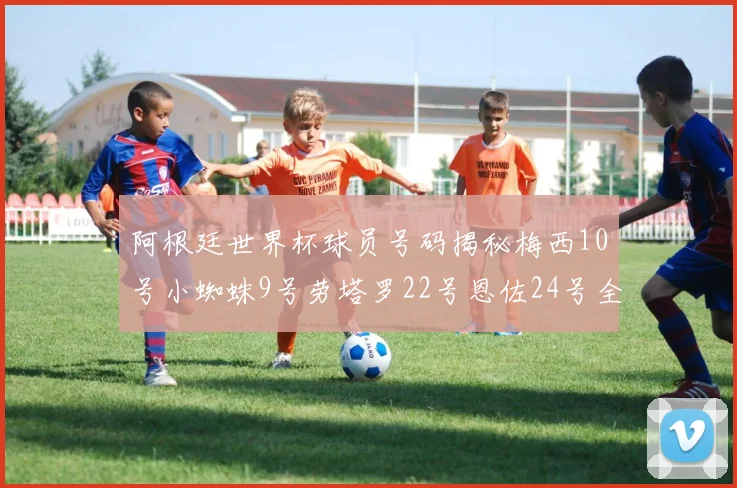 阿根廷世界杯球员号码揭秘梅西10号小蜘蛛9号劳塔罗22号恩佐24号全解析