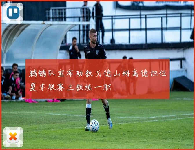 鹈鹕队宣布助教戈德山姆高德担任夏季联赛主教练一职