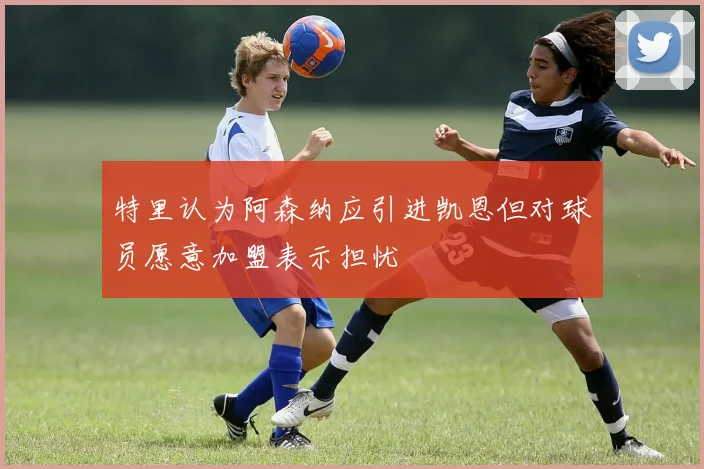 特里认为阿森纳应引进凯恩但对球员愿意加盟表示担忧